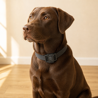 Boucle de Verrouillage Rotative pour Collier d'Animal de Compagnie 20mm en POM, Clip de Sécurité à Libération Rapide pour Harnais et Laisse de Chien, Sangle OEM ODM