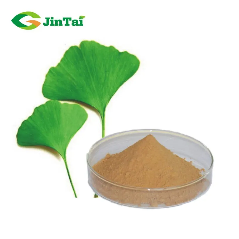 Extrait de feuilles de Ginkgo biloba en poudre, extrait de Ginkgo biloba