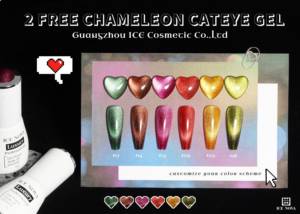 2Free Chameleon Cateye Gel Custom Wholesale Cat Eye Gel Polish 20 Colors Magnetic Nail Gel Polish Cats Jelly <span class=keywords><strong>Pastel</strong></span> Gel Set - Product Image 6
