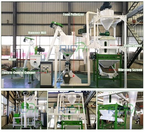 Richi 1-2 t/h dây chuyền chế biến thức ăn chăn nuôi gia cầm dây chuyền sản xuất Thức ăn viên cho bò - Product Image 2