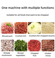 15l Gember Chilipasta Grinder Machine Automatische Fruit Groente Breekmachine
