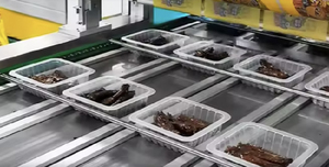 DQ630AT-VS 7KW Full Automatic Electric Skin Vegetable Glass Film Vacuum Packaging Food Tray Sealing Vacuum Sealer Machine - Product Image 4