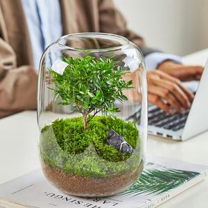 Hydro ponic Glass Desktop Moos Mikro landschaft <span class=keywords><strong>Terrarium</strong></span> Pflanzen topf Glas <span class=keywords><strong>Ornament</strong></span> für Home Office Dekoration Pflanze <span class=keywords><strong>Terrarium</strong></span> Vase - Product Image 3