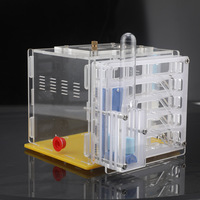 Fourmilière professionnelle en plastique OEM, grande, transparente, pour colonies de fourmis, habitat scientifique, kits éducatifs, avec plateau en plastique