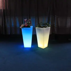 Il colore del giardino cambia la plastica illumina il vaso luminoso per piante da fiore a Led solare