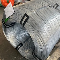 Fournisseur de fil d'acier galvanisé sur mesure, galvanisé à chaud et électrogalvanisé