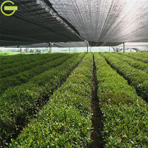 <span class=keywords><strong>Malla</strong></span> de sombreado al <span class=keywords><strong>70</strong></span>% para vegetales a precio económico - Product Image 6