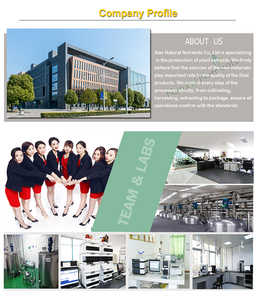 ผงแกลบไซเลียมธรรมชาติเกรดอาหารกลอง25กก. ผ่านการรับรอง ISO9001บริสุทธิ์99% - Product Image 2