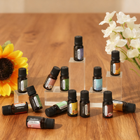 Huiles d'aromathérapie Hankey populaires arômes divers pour chambre salon aromathérapie quotidienne