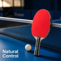 Ensemble de raquettes de tennis de table professionnel pour 2 joueurs, aspect carbone, avec 3 balles et étui de transport pour l'entraînement