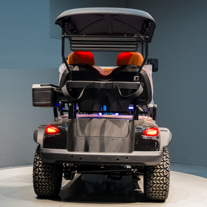 Voiturette électrique pour adultes Kepler, capacité 2 passagers, moteur 48V 5KW, <span class=keywords><strong>batterie</strong></span> au lithium, pour transport hôtelier - Product Image 6