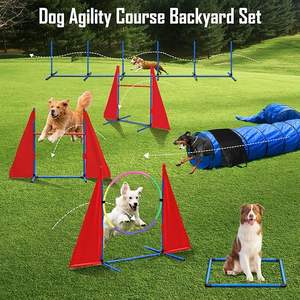 <span class=keywords><strong>Tunnel</strong></span> d'équipement d'agilité pour chien de combinaison de couleurs personnalisées ensemble de saut d'agilité pour chien de compagnie en plein air parcours d'obstacles pour la formation - Product Image 5