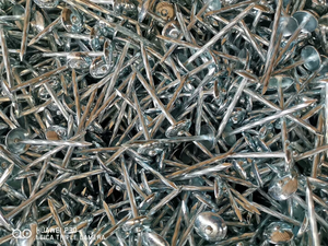 ลดราคาสุดๆ! ตะปูเหล็กชุบสังกะสีแบบลูกฟูกขนาด 9G 2 นิ้ว 2 1/2 นิ้ว 3 นิ้ว สำหรับยึดหลังคาโลหะ - Product Image 5