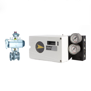 PMV D20 Digital WIth Chongqing Chuanyi Automation - Product Image 3