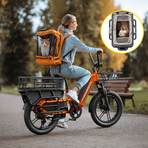Nouveau Vélo Cargo 2025 Charge Utile 200 kg Moteur 750W, Batterie Lithium 48V, Écran LCD, Port de Charge USB, Réflecteurs Arrière - Product Image 4