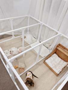 Cane in acrilico trasparente box per interni, cucciolo di gatto piccolo gioco per animali domestici, pieghevole per box recinzione per cani cuccia gabbia buccante - Product Image 4