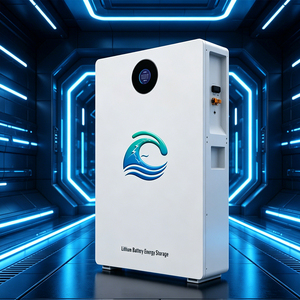 Sistema de Almacenamiento de Energía Doméstico Personalizado de 5Kw 10Kw Serie EOS LiFePO4 con Batería de Iones de Litio de 5Kwh y BMS Todo en Uno - Product Image 4