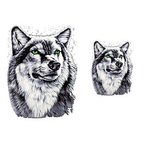 Impression offset <span class=keywords><strong>de</strong></span> lions colorés mystérieux pour impression par transfert thermique, plastisol, PVC, PET, toucher doux, lavable, vente chaude - Product Image 2