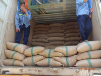 VIETNAM ROBUSTA COFFEE GREEN BEANS S20 New Crop High Quality Low Price Top Factory-HANFIMEX 0084374074818 Grade 1 Wet Polished