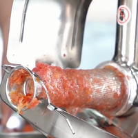 Passoire à tomates électrique en acier inoxydable, machine à presser la confiture, extracteur de sauce au jus de tomate