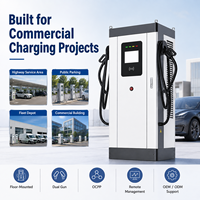 Station de recharge DC double pistolet pour véhicules électriques, 160-320 kW, 200-1000 V, OCPP, IP54, fournisseur OEM pour projets de recharge routière et de flotte