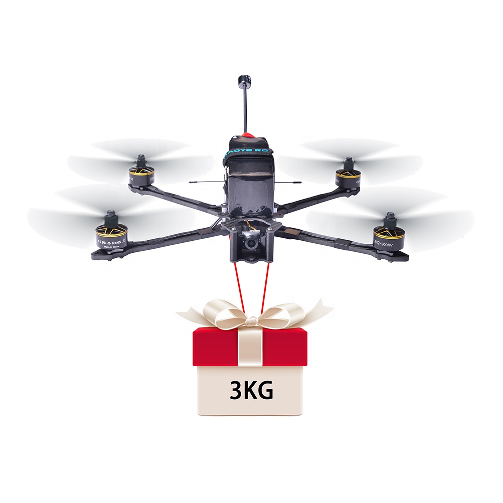 Phantom RTK Drone Survey Price Precision Efficiency