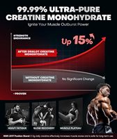 Herb Brand OEM/ODM Marca Privada Monohidrato de Creatina Pura 5000mg Suplementos Alimenticios en Gomitas para el Control de Energía en Adultos 120 Unidades 4