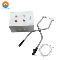 Électrocuteur à porcs avec sonde en acier inoxydable et interrupteur de sécurité pour équipement d'abattage de porcs, outils de boucherie, pistolet d'étourdissement pour abattoir