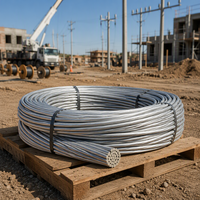 Câble Aérien 22kV ACSR à Âme en Acier et Brins d'Aluminium avec Couche de Résistance à la Traction Élevée et Bonne Isolation Thermique pour Lignes Électriques à Longue Portée