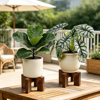 Support à plantes en bois pour intérieur et extérieur, support de pot de fleurs moderne du milieu du siècle, porte-pot de fleurs robuste à un seul niveau