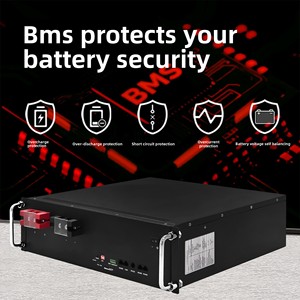 Batterie lithium-ion 100Ah 48V montée en rack, systèmes de stockage d'énergie solaire, fonctionnement à haute température, température de fonctionnement 0-55°C - Product Image 4