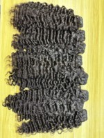 Cheveux vierges en gros, cheveux humains bouclés birmans, cheveux humains purs, Diamond Empress Hair, lots de cheveux humains de qualité supérieure, fournisseurs