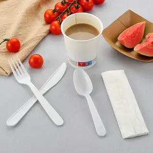 US Warehouses Fully Stocked Disposable 5g Heavy Weight Plastic Disposable Spoons Tableware