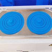 Bain-marie thermostatique 6L 12L 20L Bain-marie numérique 4 trous Circulation Bain-marie chauffé numérique Bano De Agua