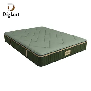 Diglant D210 Premium Europe Cheap Price Roll up Bamboo Pillow Top Queen King Size foam Mattress