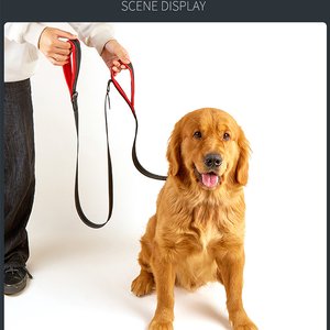 Design all'ingrosso di lusso retrattile per animali domestici in Pvc Paracord collare per cani personalizzato Set di collari e guinzagli per cani personalizzati - Product Image 4