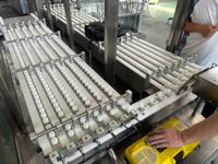 Machine de remplissage de flacons de sérum, 2 têtes, 100 à 500 ml, réglable, haute vitesse, précision de 1 %, contrôle servo, norme GMP, acier inoxydable 316