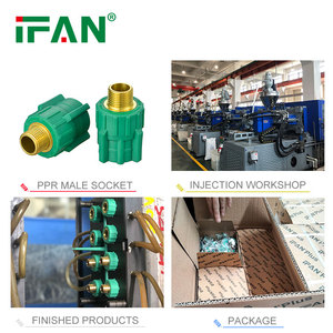 IFAN Plus Factory Price PPR <strong>Pipes</strong> and Fittings PPR Fittings PPR Male Threaded <strong>Socket</strong> - Product Image 5