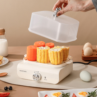 Cuiseur à œufs électrique multifonctionnel pour la maison et le dortoir, pot à œufs électrique pour le petit-déjeuner et marmite à œufs portable