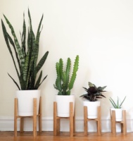 Pertengahan Abad Kayu Plant Stand Pot Bunga Pemegang Display Pot Rak Dekorasi Rumah untuk 10 Inci untuk 12 Inci Planter