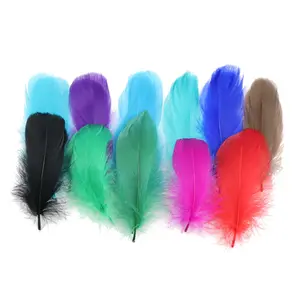 Supply High Quality Real Goose Feather Color Medium 6-12cm DIY Feather