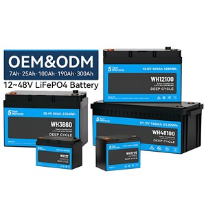 แบตเตอรี่ลิเธียม OEM 48V 51.2V 60V 72V 100Ah-400Ah LiFePO4 NMC สำหรับรถขุด รถตัก รถบดถนน เครื่องจักรเหมือง - Product Image 2