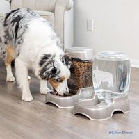 Distributeur d'eau pour animaux de compagnie de 3 gallons, brun perle, distributeur d'eau automatique par gravité, bol d'eau pour chats, chiens, animaux de compagnie de petite et moyenne taille