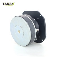 Usine nouveau design aigus tweeter haut-parleur haute puissance 600W Modification voiture Tweeter(TS-S23)