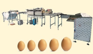110V Large Budget Stainless Steel <b>Egg</b> & Fruit Washer Weight Grader and Packer <b>Machine</b> Automatic 4000 Per Hour - Product Image 5