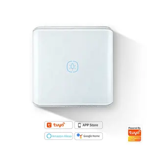 Minuterie vocale à distance Google Home Alexa interrupteur d'éclairage intelligent Tuya EU Touch Wall WiFi 1gang Smart touch Switch
