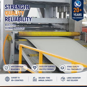 304L 316L Brushed Finish 6.0mm 4'x10' Hot Rolled JIS G4305 Stainless Steel Sheet for Dairy Equipment - Product Image 1