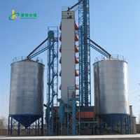Silo Verticale per Mais da 1000 Tonnellate, Magazzino Esterno per Essiccazione del Grano con Assemblaggio in Acciaio Zincato