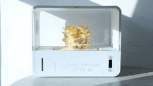 Sistema Automático de Cultivo de Hongos en Interiores, Caja de Cultivo Hidropónico Inteligente, Kit de Cultivo para Hogar y Oficina, Productor de Hongos Frescos DIY - Product Image 5