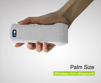 Sonde d'échographie linéaire vétérinaire portable MT MEDICAL, Doppler couleur, transducteur d'échographie sans fil pour animaux